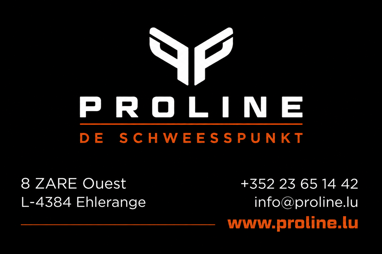 PROLINE – De Schweesspunkt